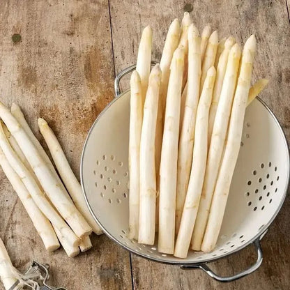 𝐎𝐟𝐟𝐢𝐜𝐢𝐚𝐥 𝐁𝐫𝐚𝐧𝐝 𝐒𝐭𝐨𝐫𝐞 | Primglam® Four Seasons Asparagus Mary Washington Seeds