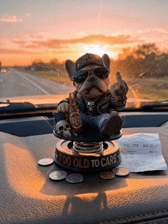 𝐎𝐟𝐟𝐢𝐜𝐢𝐚𝐥 𝐁𝐫𝐚𝐧𝐝 𝐒𝐭𝐨𝐫𝐞 | Primglam® Too Old To Care Dashhoard Bobblehead