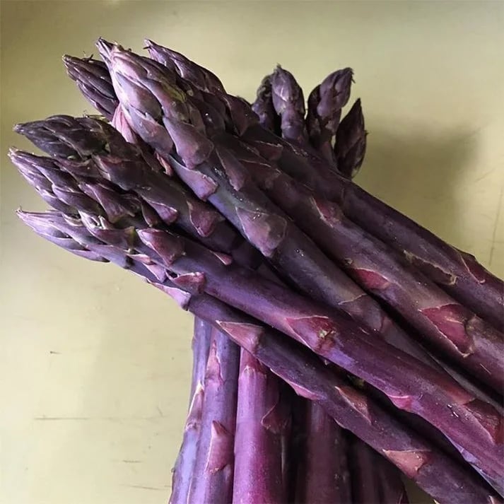 𝐎𝐟𝐟𝐢𝐜𝐢𝐚𝐥 𝐁𝐫𝐚𝐧𝐝 𝐒𝐭𝐨𝐫𝐞 | Primglam® Four Seasons Asparagus Mary Washington Seeds