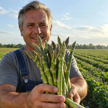 𝐎𝐟𝐟𝐢𝐜𝐢𝐚𝐥 𝐁𝐫𝐚𝐧𝐝 𝐒𝐭𝐨𝐫𝐞 | Primglam® Four Seasons Asparagus Mary Washington Seeds