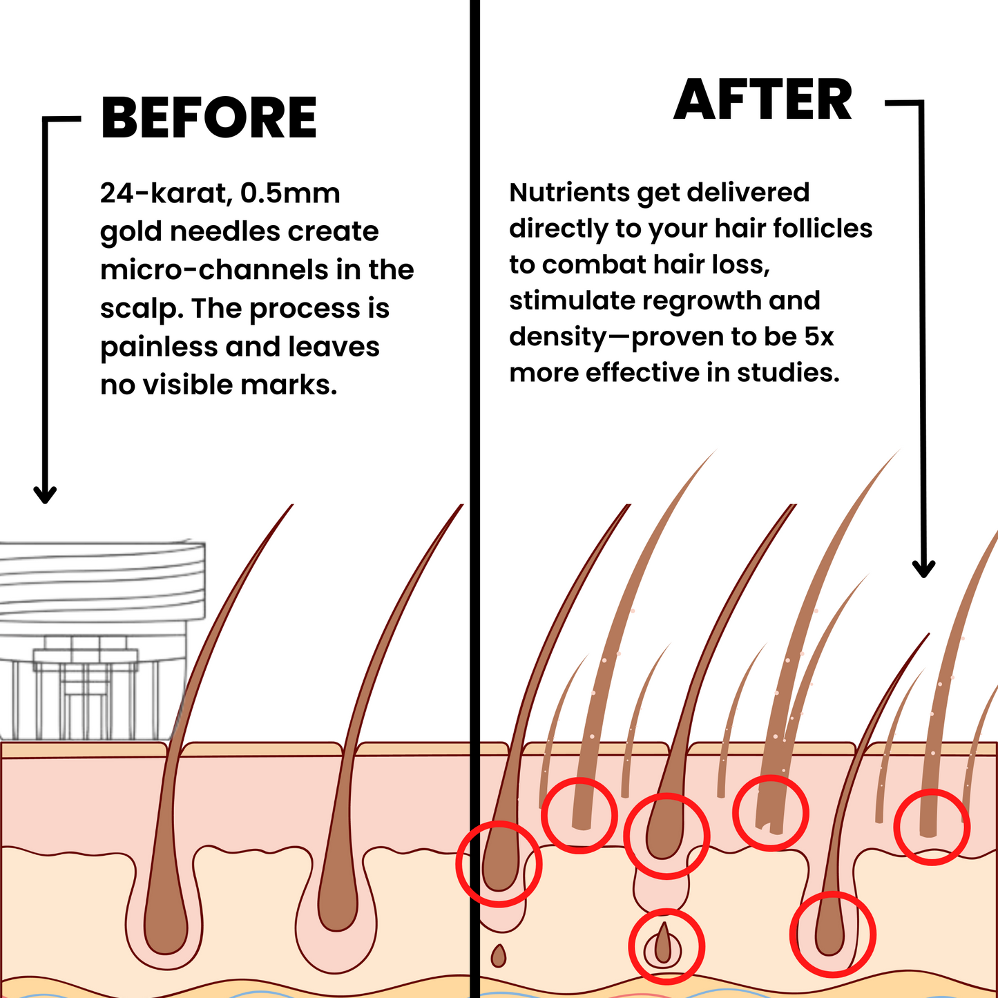 𝐎𝐟𝐟𝐢𝐜𝐢𝐚𝐥 𝐁𝐫𝐚𝐧𝐝 𝐒𝐭𝐨𝐫𝐞 | Primglam® Hair Regrowth System