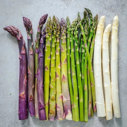 𝐎𝐟𝐟𝐢𝐜𝐢𝐚𝐥 𝐁𝐫𝐚𝐧𝐝 𝐒𝐭𝐨𝐫𝐞 | Primglam® Four Seasons Asparagus Mary Washington Seeds