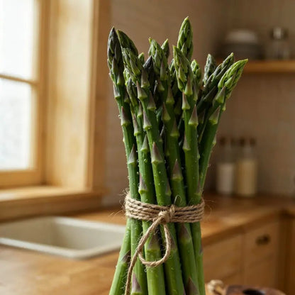 𝐎𝐟𝐟𝐢𝐜𝐢𝐚𝐥 𝐁𝐫𝐚𝐧𝐝 𝐒𝐭𝐨𝐫𝐞 | Primglam® Four Seasons Asparagus Mary Washington Seeds